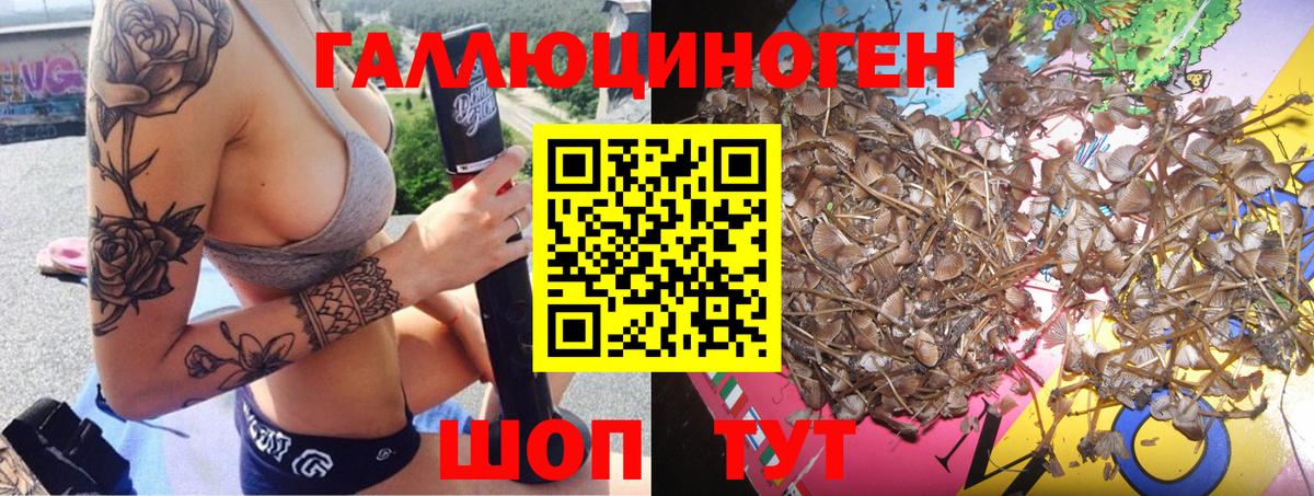 Павловский Посад  Псилоцибиновые грибы Magic Shrooms  Вход с VPN 